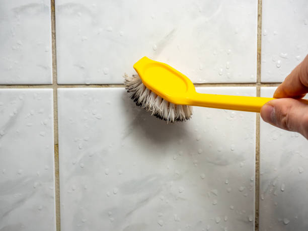 Best Mold Removal Near Me  in Delta, CO
