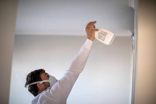 Best Black Mold Removal  in Delta, CO